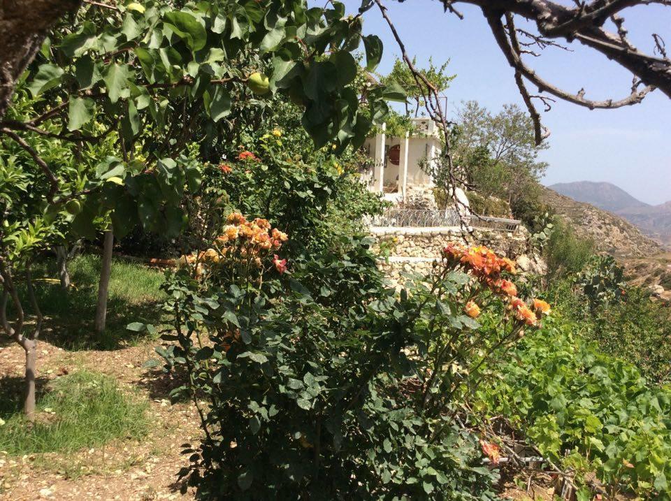 La Villa Di Zazopetra Menetaí Exterior photo